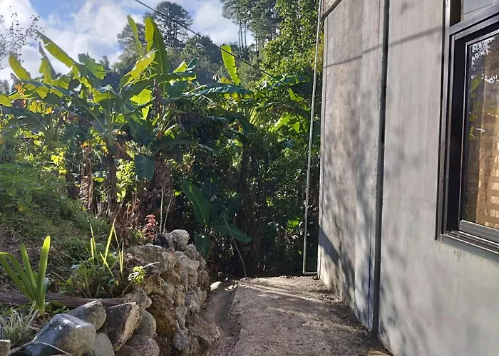 Ajjaa\'S Place